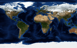 What people would do in a furro apocalypse