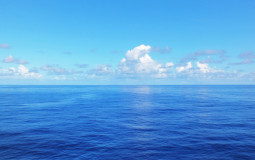 TOP MCPE PLAYERS SA ABRIL ATUALMENTE