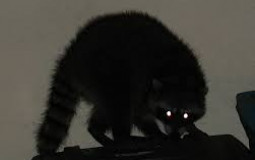 Scariest games ever made