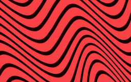 YouTube Stars in Real Life