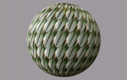 Reptiles i could find outside