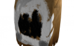 Roblox Dominus Rating