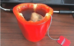 COLEGIELCARMEASSIGNATURES