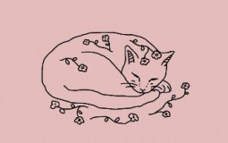 character relationships <3