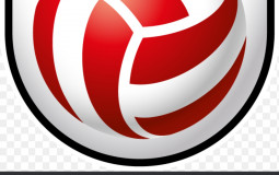 Austria Bundesliga Awaytrikot