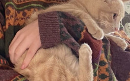 rank my fictional crushes :)