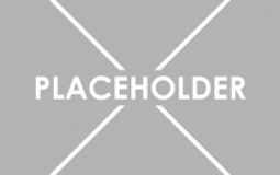 2L (private thingie)