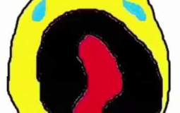 yes