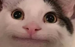 Handball players at the Gym (pap)