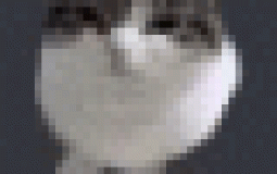 Serversided Script Rankings (DEFENSE ONLY)