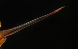 just tier list (don't check it)