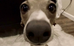 My hero acdimia tierlist