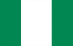 Who I Can Fight in Nigeria