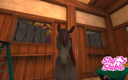 Rating star stable horses