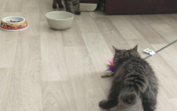 Jésus et Marie ou Cookie et Dragibus ?