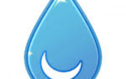 Pokemon Tipo Agua