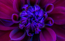 war server tier list