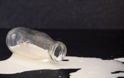 Milk Adultery Tierlist