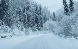 Biomes of snow rider 3d