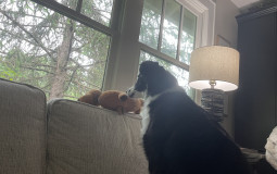 Mbti rankings by Intj