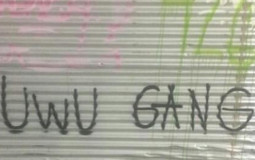 ANIMES TIER LISD