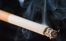 Tobaccos