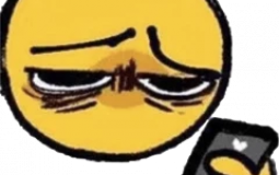 Discord Kitten tier list