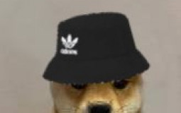 VJJ