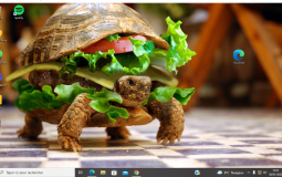 classement des animés connu^^