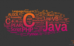 Top Programming Languages