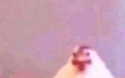 Whos are the Biggest retards in the Ouroboros Discord server