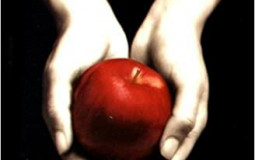 Ranking Books I've Read