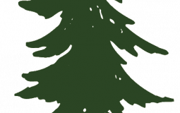 No Shave Finale Tier