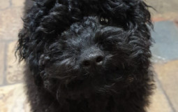 Tate’s movie tier list :D