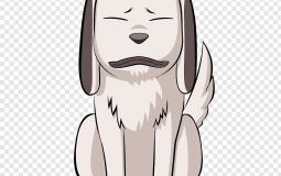 Personaje din Naruto