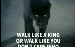 Inspirational Quotes