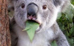 Top des Guidailleurs du plus grand cercle de la galaxie