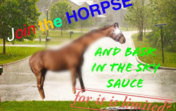I Am A Dissapointment