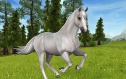 Star stable