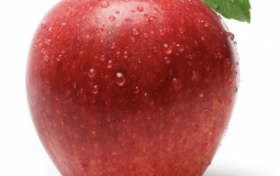 fruits