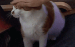 A tier List which everyone can agree with