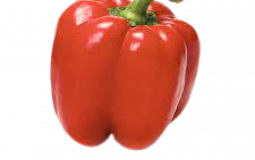 Chance for precipitation double