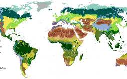 Biomes of the Earth