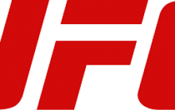 4 MMA Violence Kings