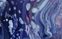 Jam Of The Year- Goose