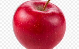 Fruit Tier List