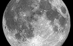 Melhores frutas para farm