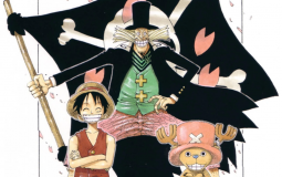 One piece arcs till drum island