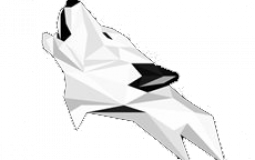 TierList Skills PVP (TWOLF)