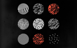 Smash or Pass Celebs